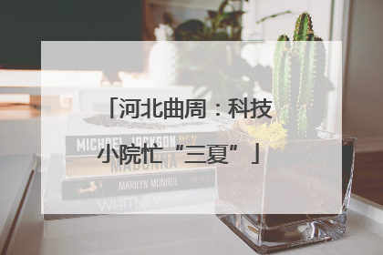 河北曲周：科技小院忙“三夏”